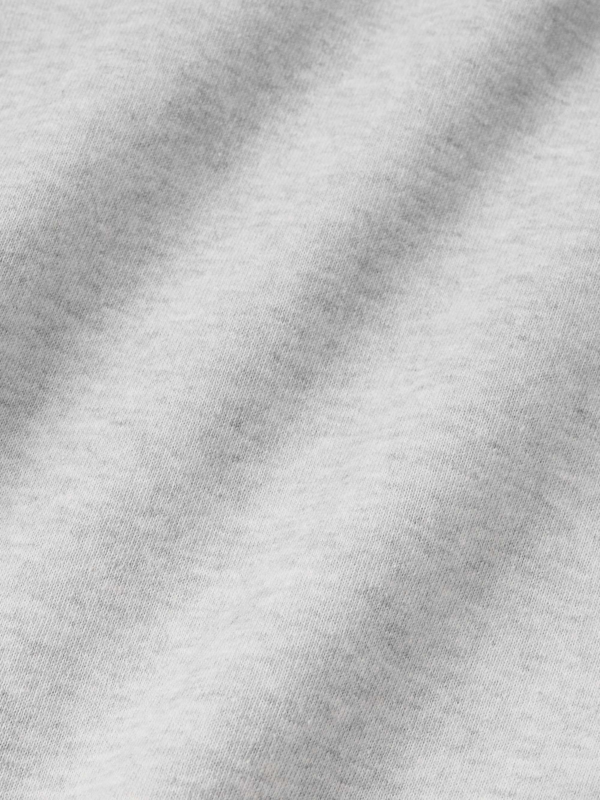 Franziska Garment-Dyed Distressed Logo-Print Cotton-Blend Jersey Hoodie view
