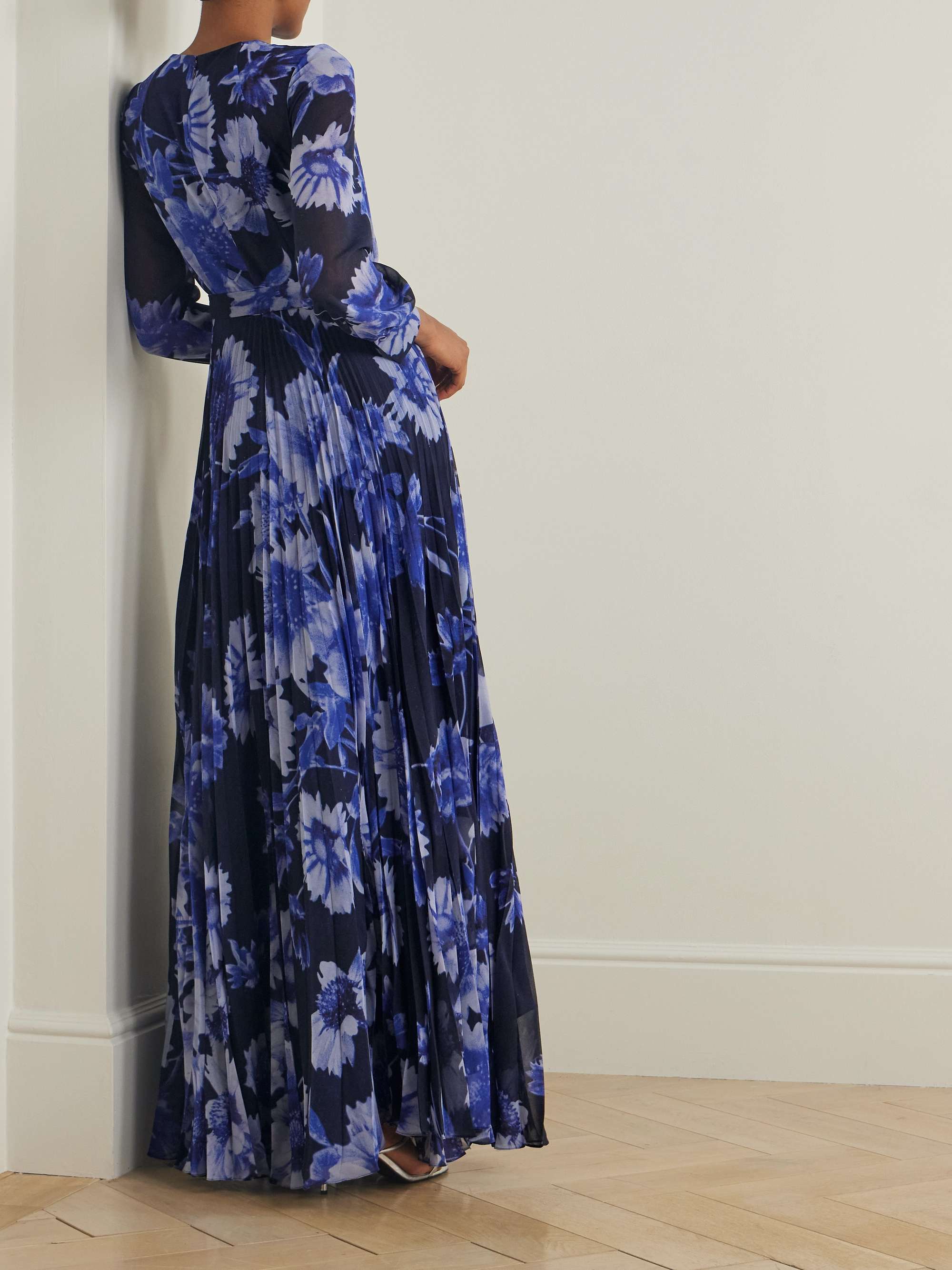Troubridge pleated floral-print silk-voile gown view