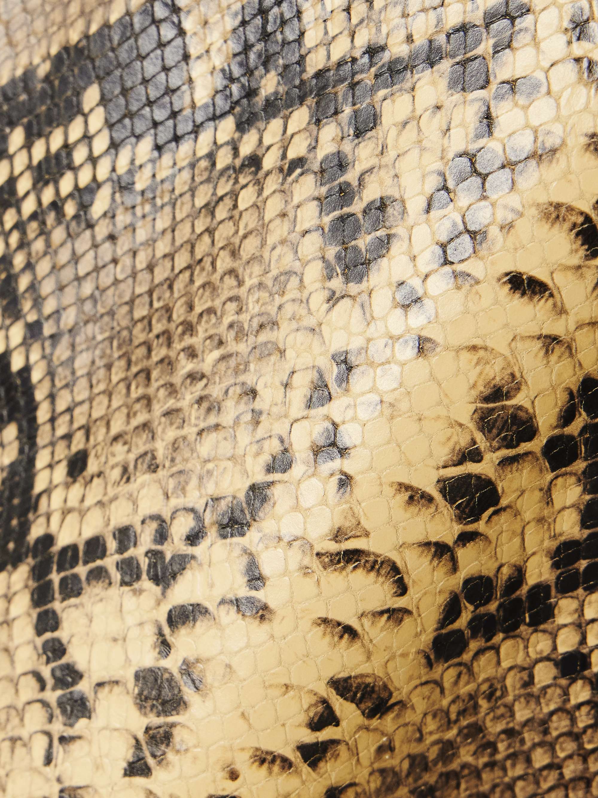 Snake-effect leather top view