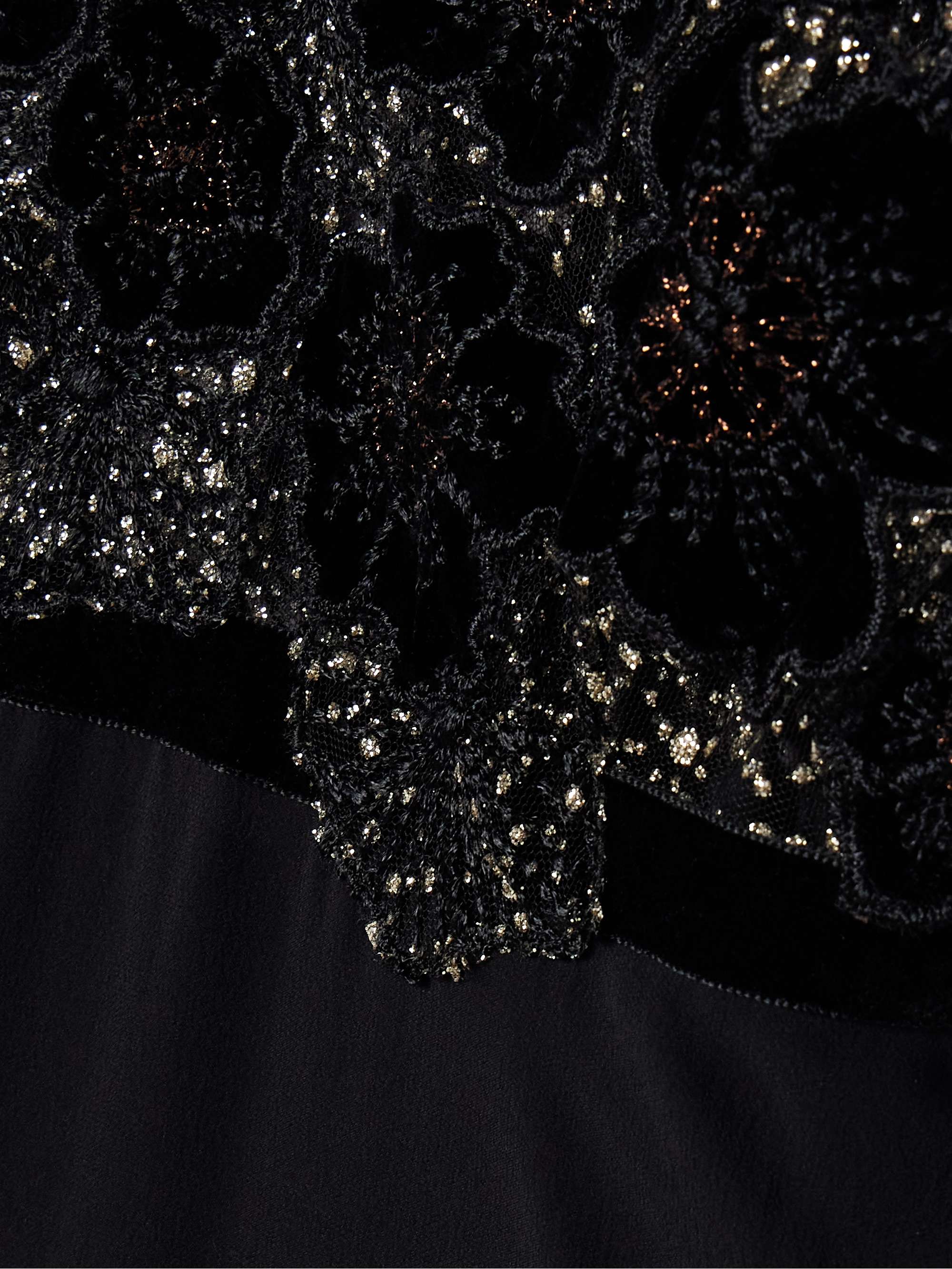 Pansy velvet-trimmed silk-georgette and metallic lace maxi dress view