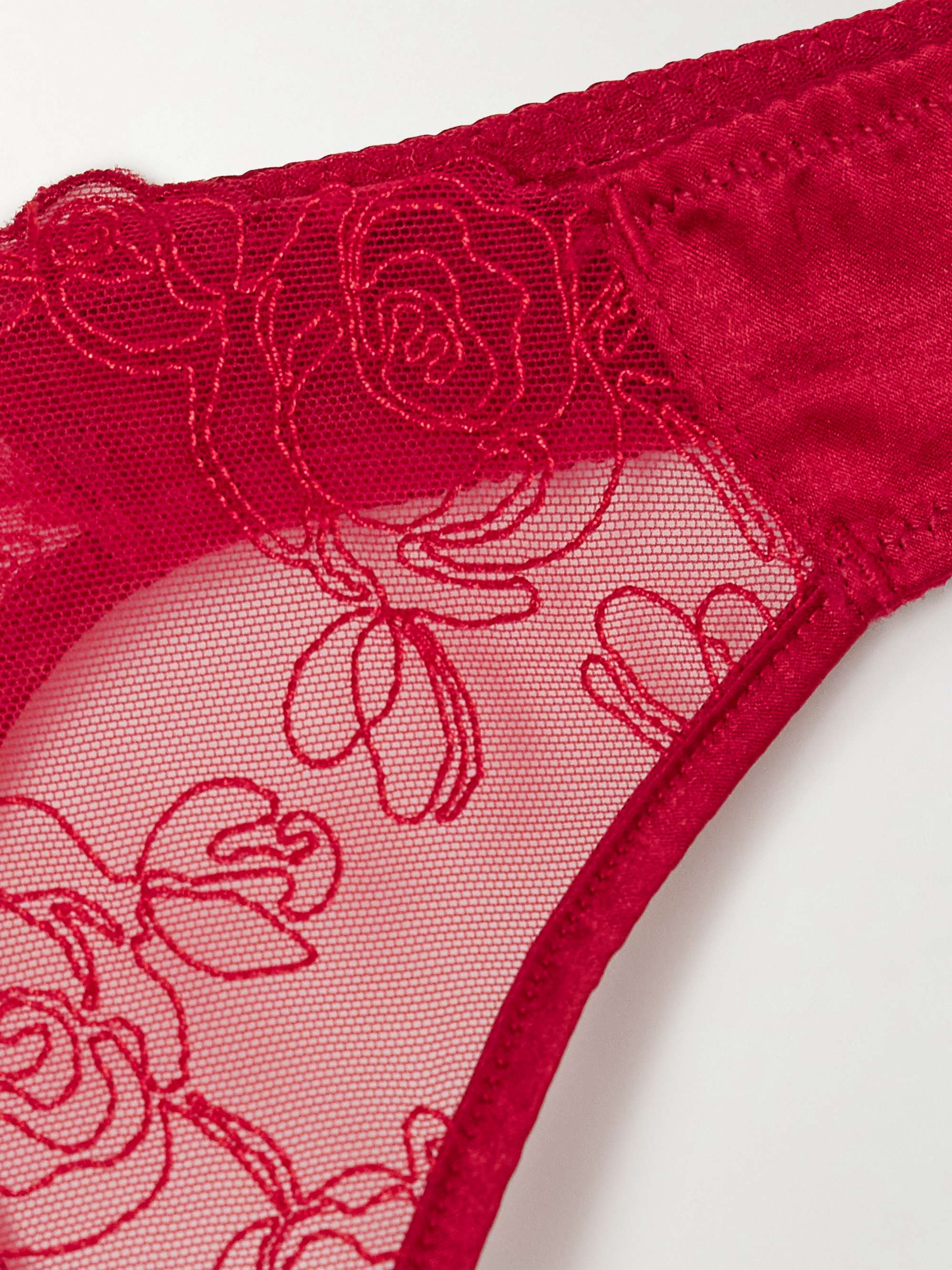 La Rose embroidered tulle and stretch-silk charmeuse thong view