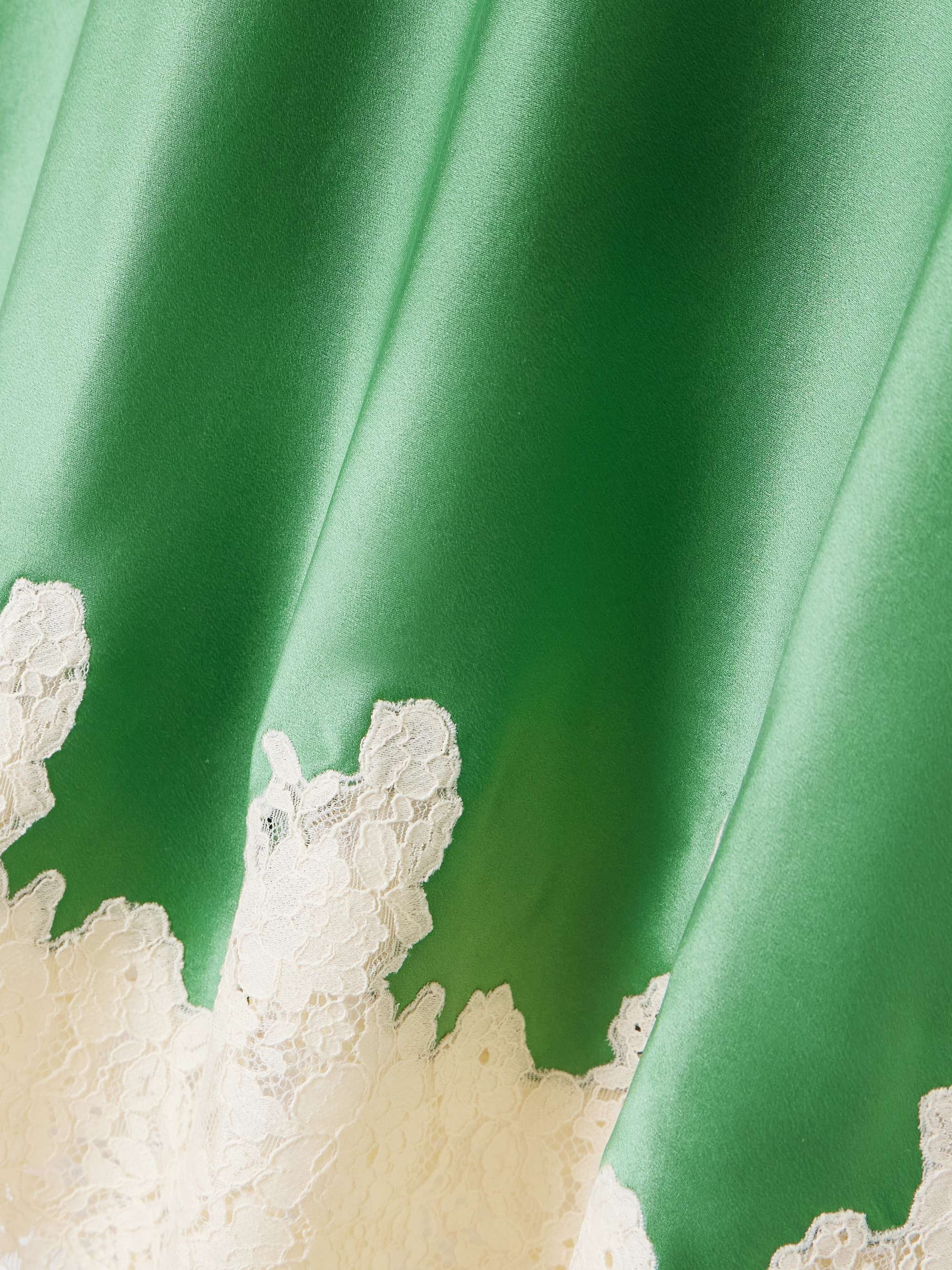 Elowena lace-trimmed silk midi skirt view