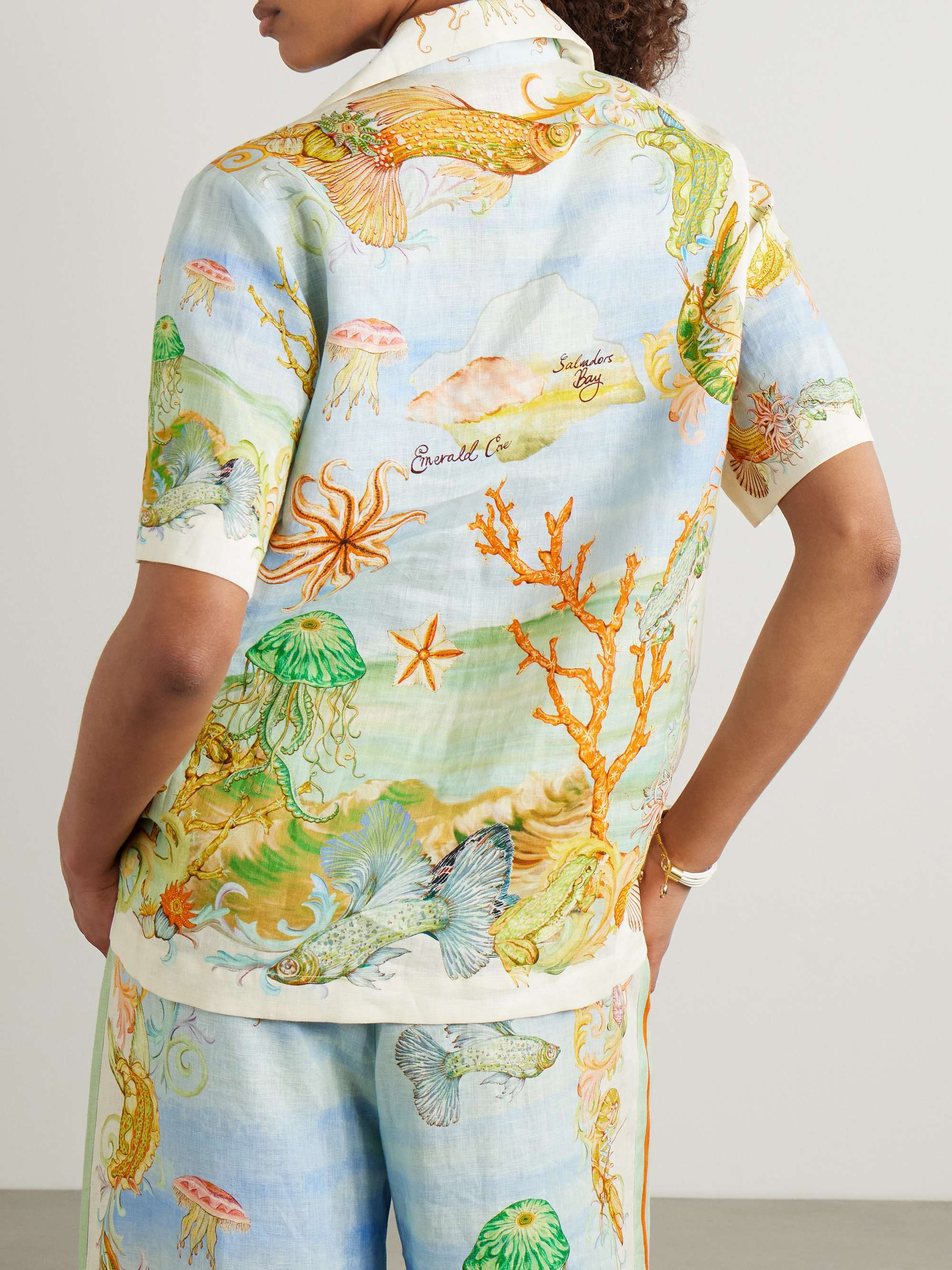 + Sam Pauletto Emerald Cove printed linen-gauze shirt view