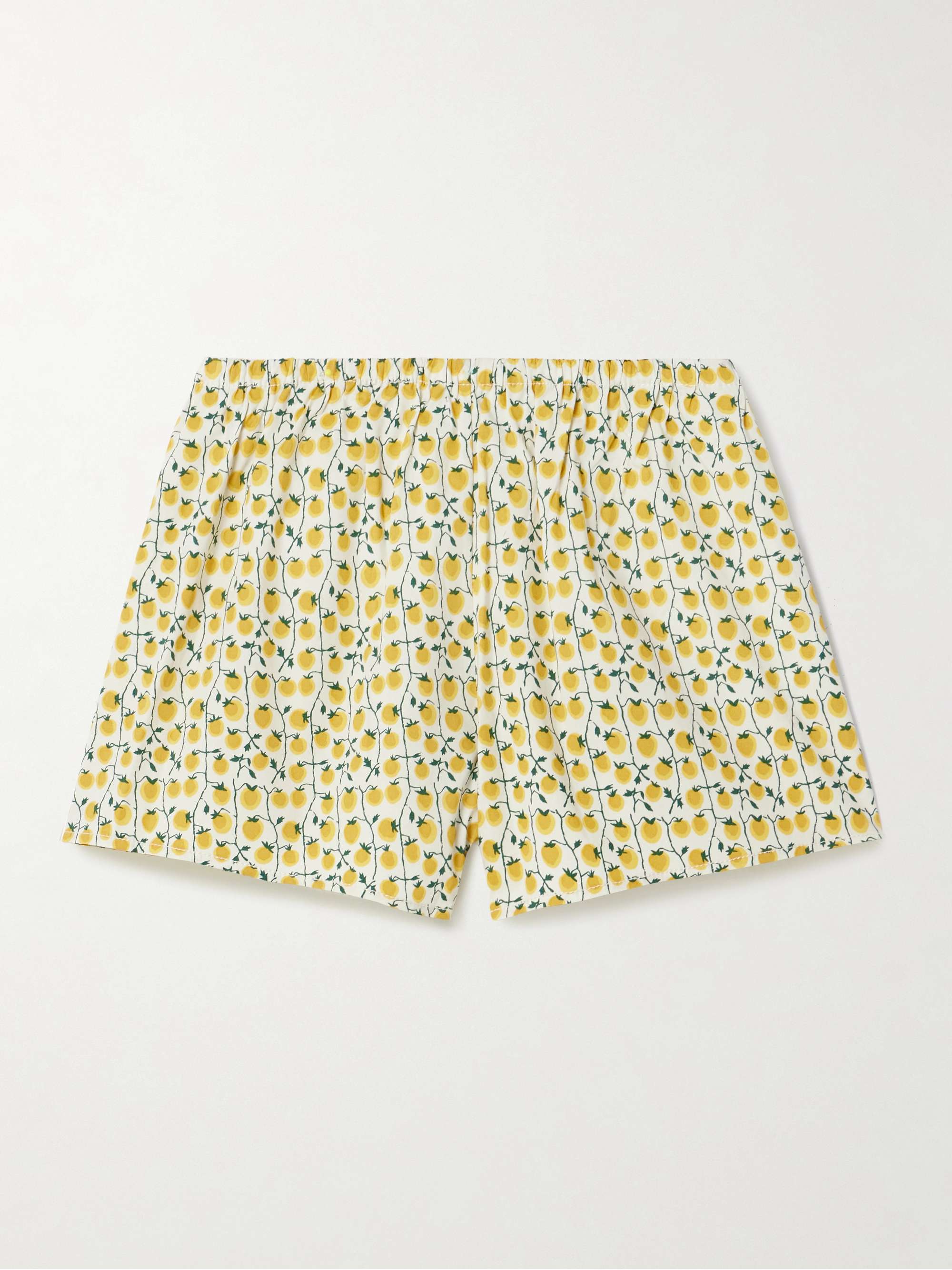 Paddle printed cotton-blend shorts view
