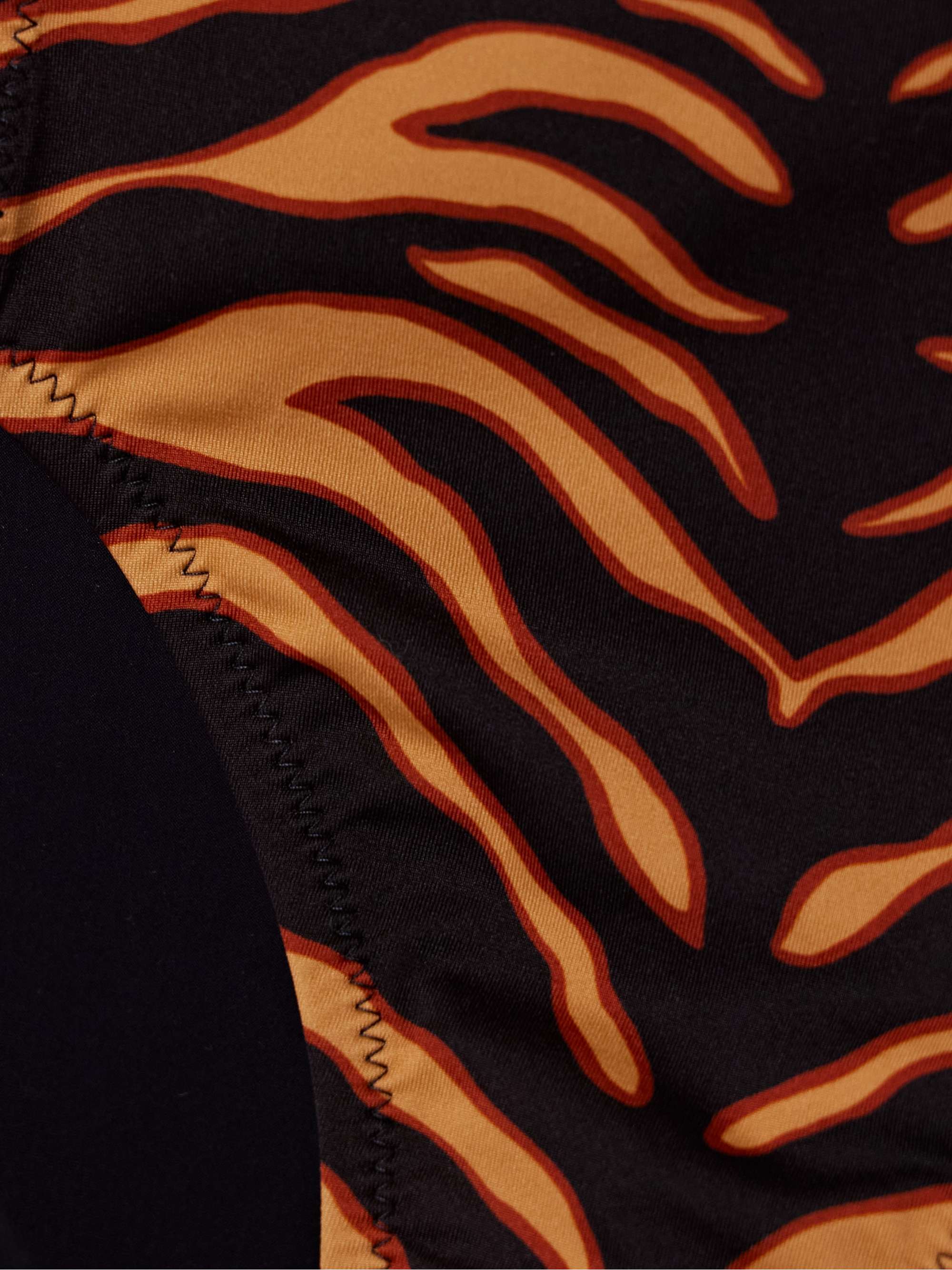 Zahara tiger-print bikini briefs view