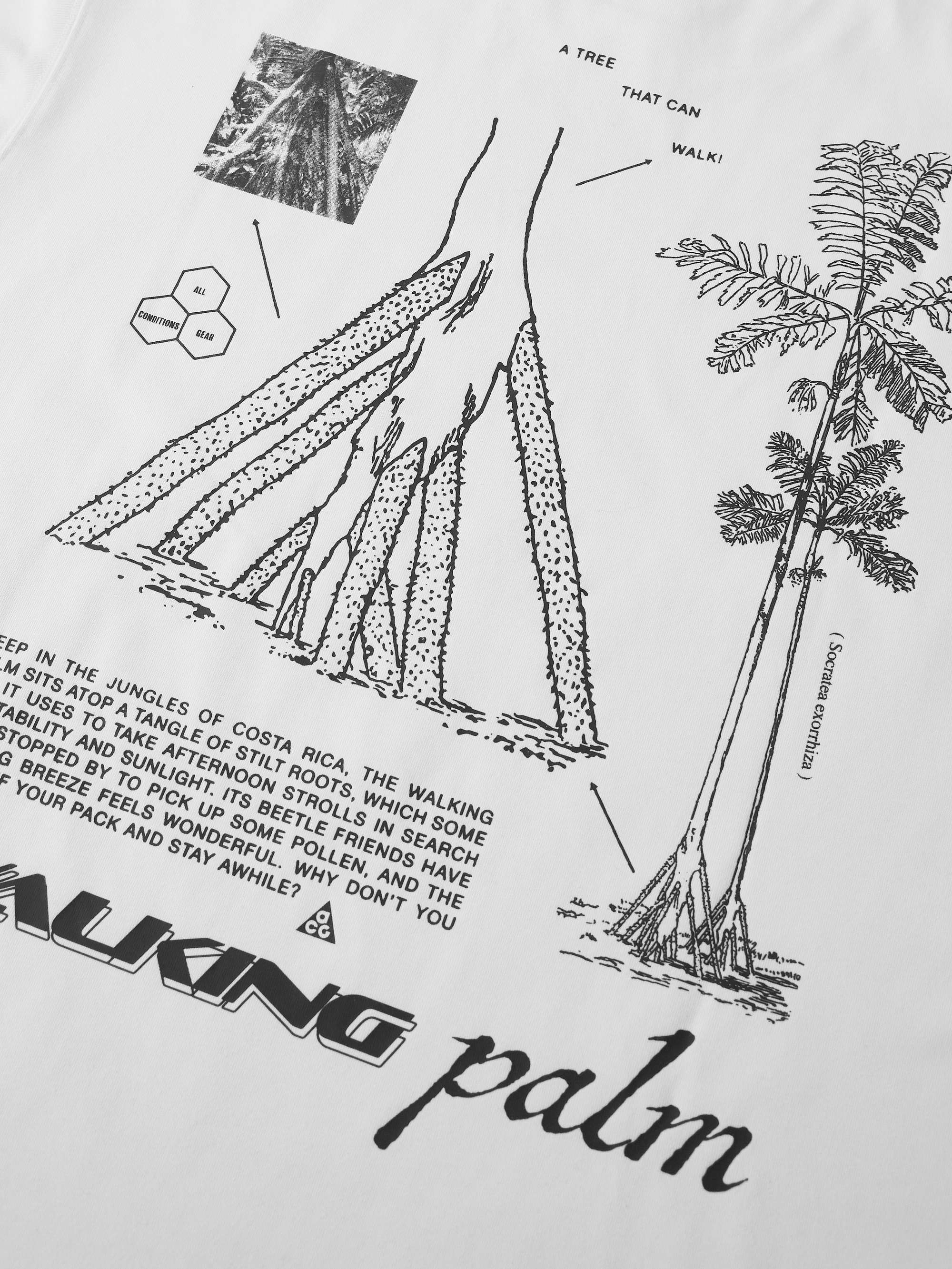 ACG Walking Tree Printed Dri-FIT T-Shirt view