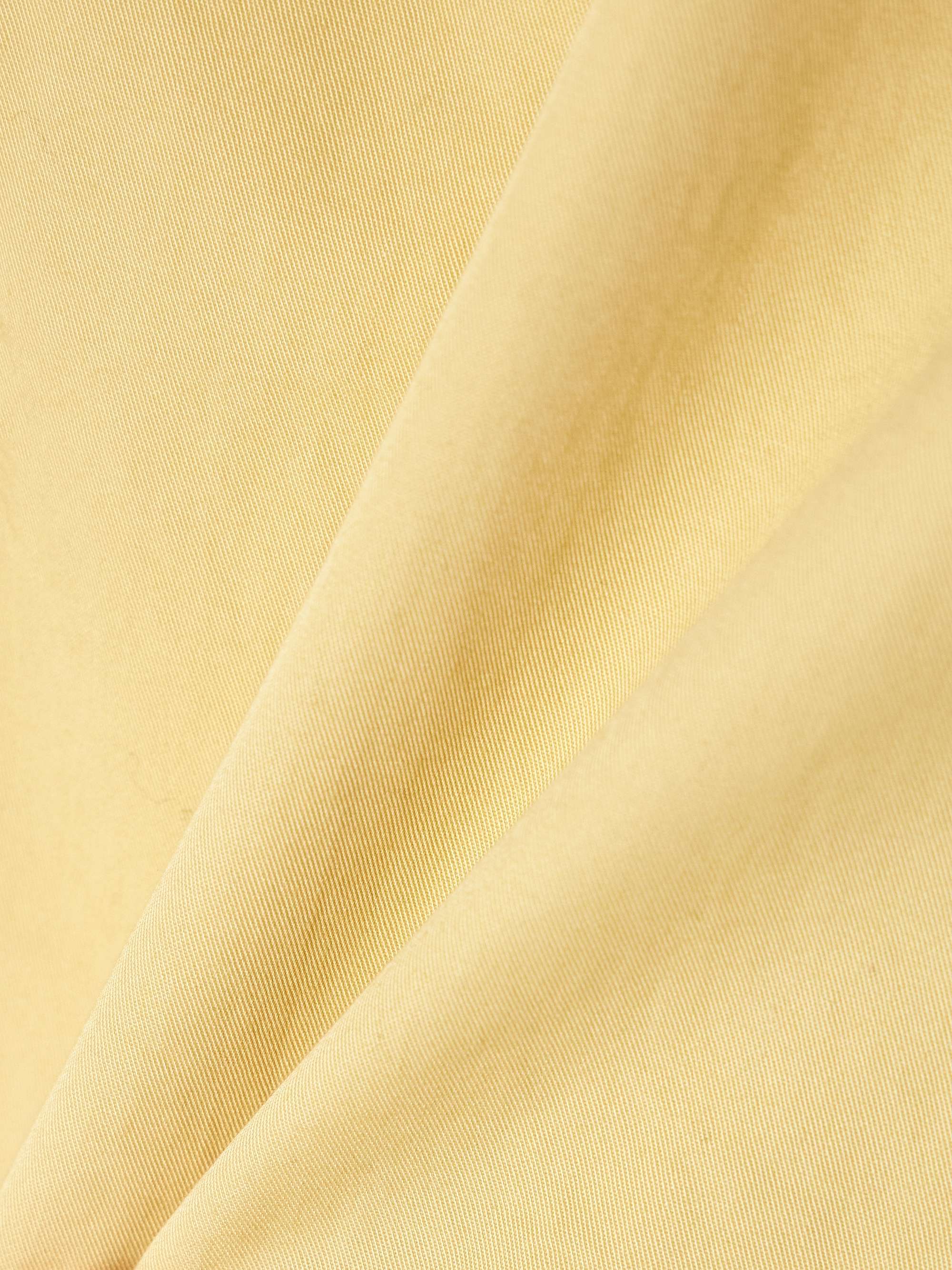Caterina cropped cotton-twill top view