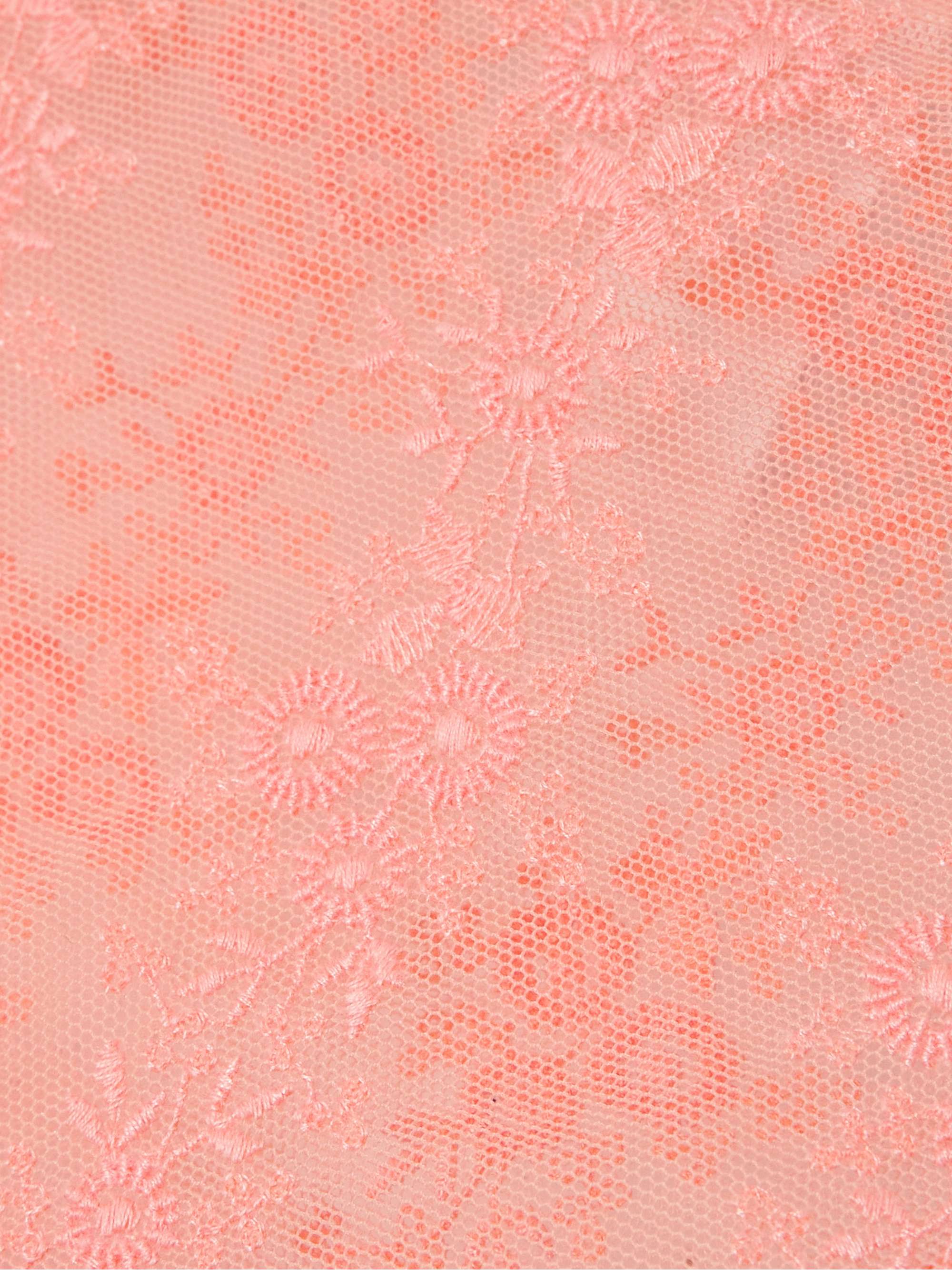 Fleur du Sel embroidered stretch-tulle briefs view