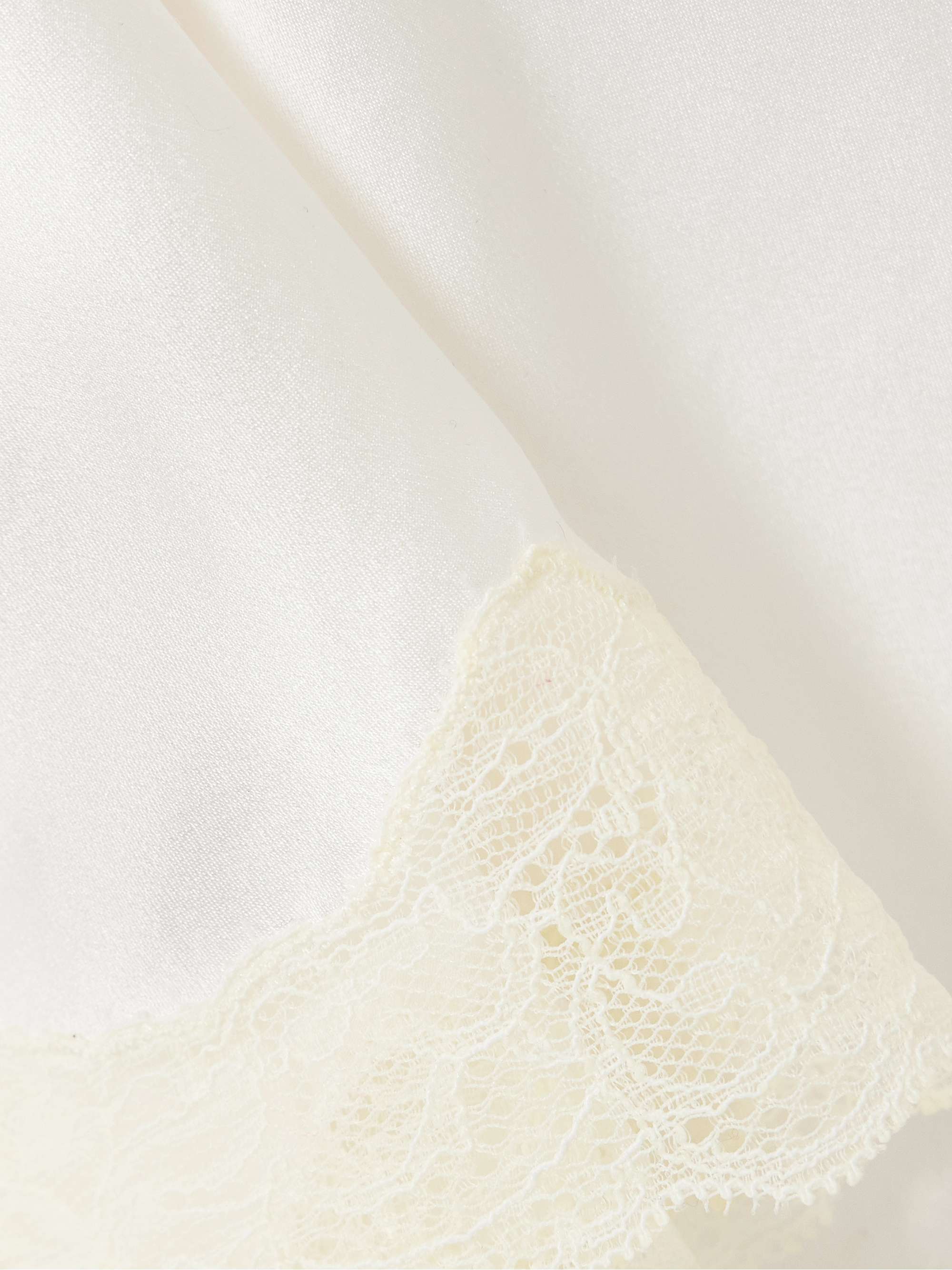 Irene lace-trimmed silk-charmeuse skirt view