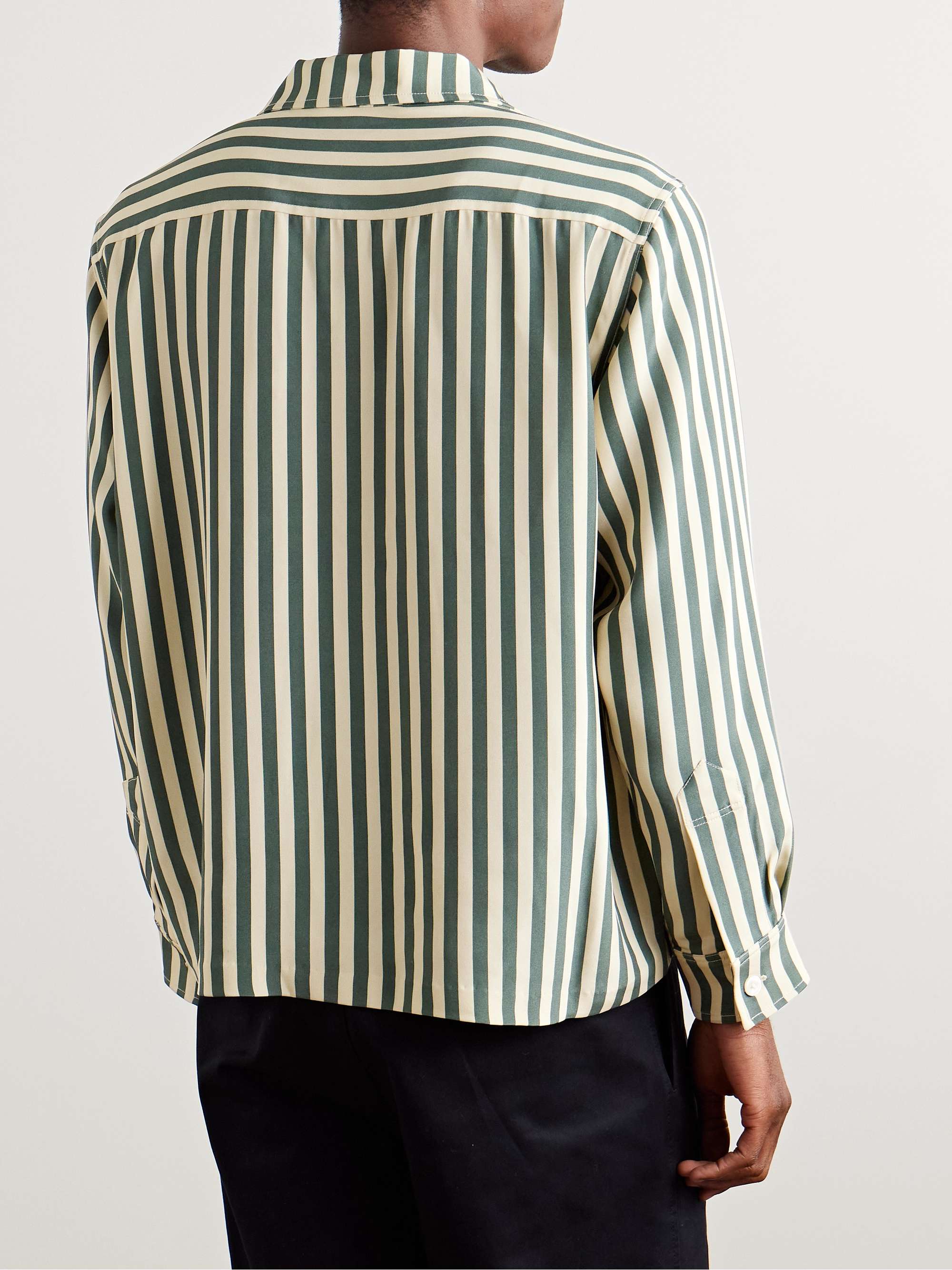 Trillium Camp-Collar Appliquéd Striped Silk Shirt view