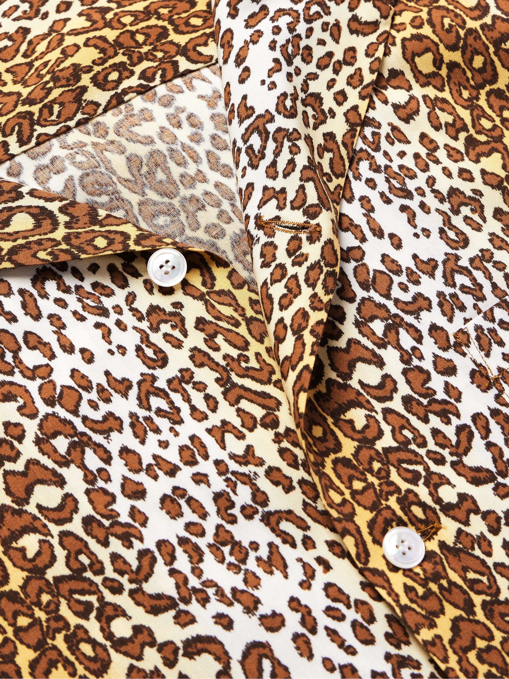 Camp-Collar Leopard-Print Voile Shirt view