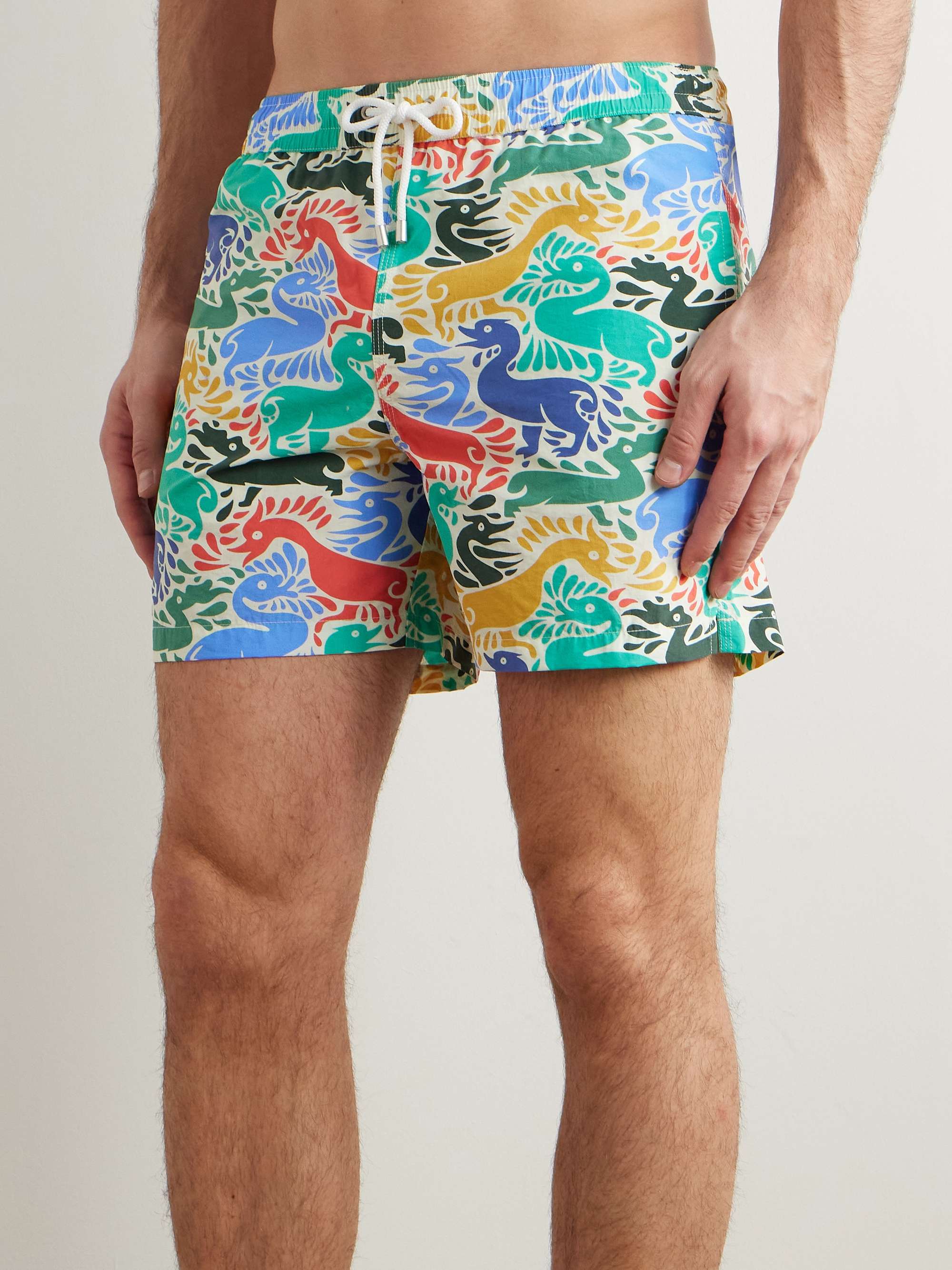 Ducks Straight-Leg Mid-Length Printed Shell Swim Shorts view