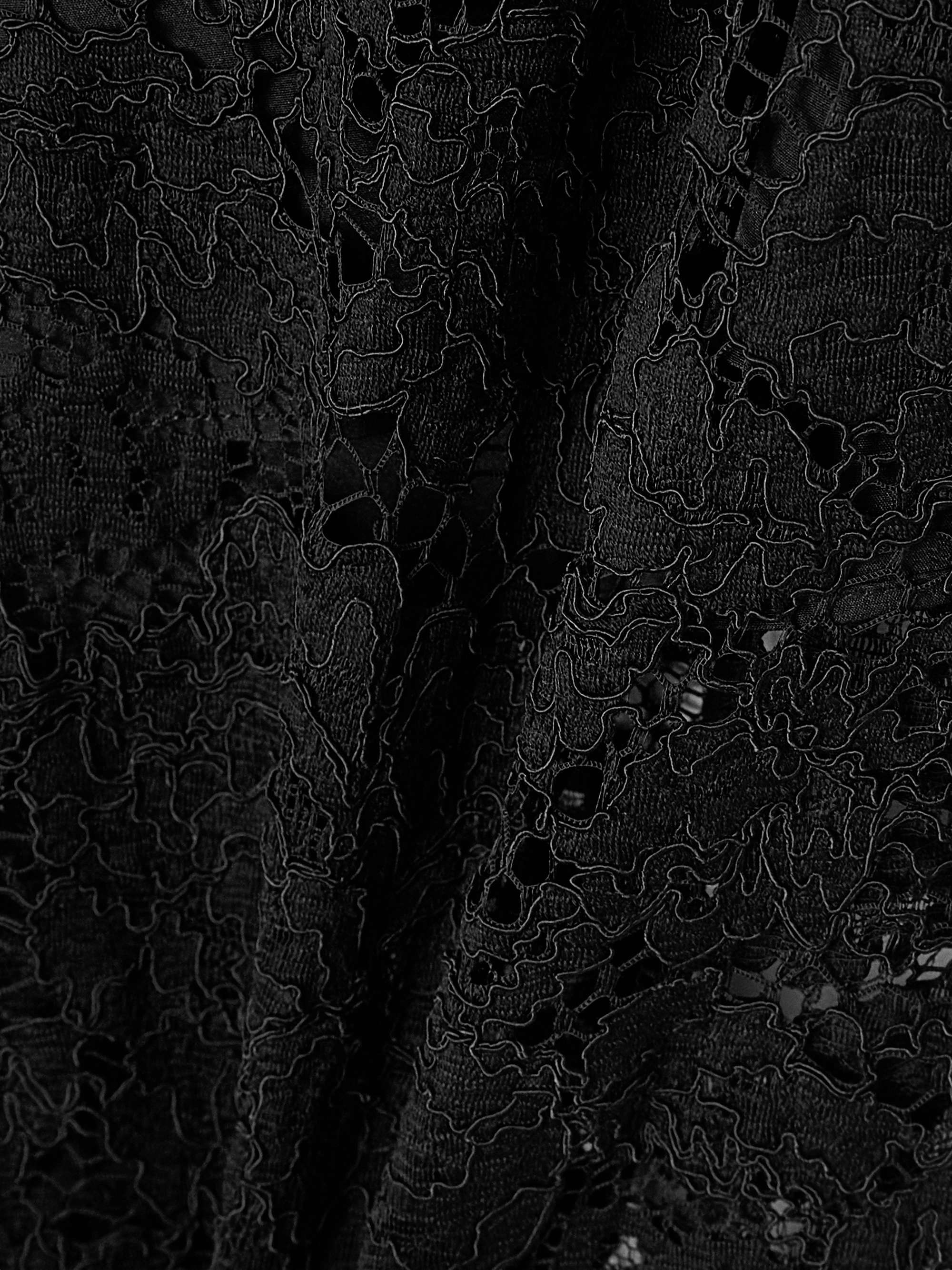 Corded lace wide-leg pants view