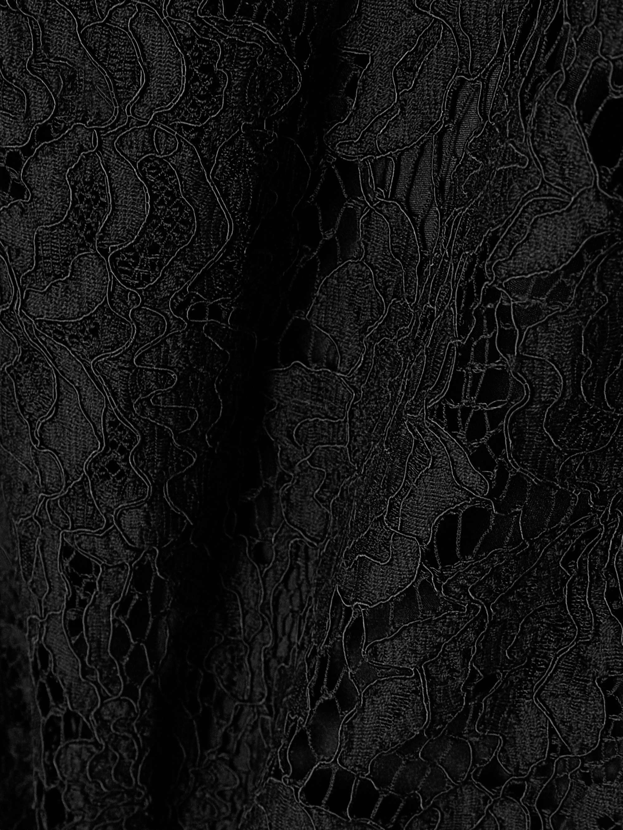 Silk-blend corded lace top view