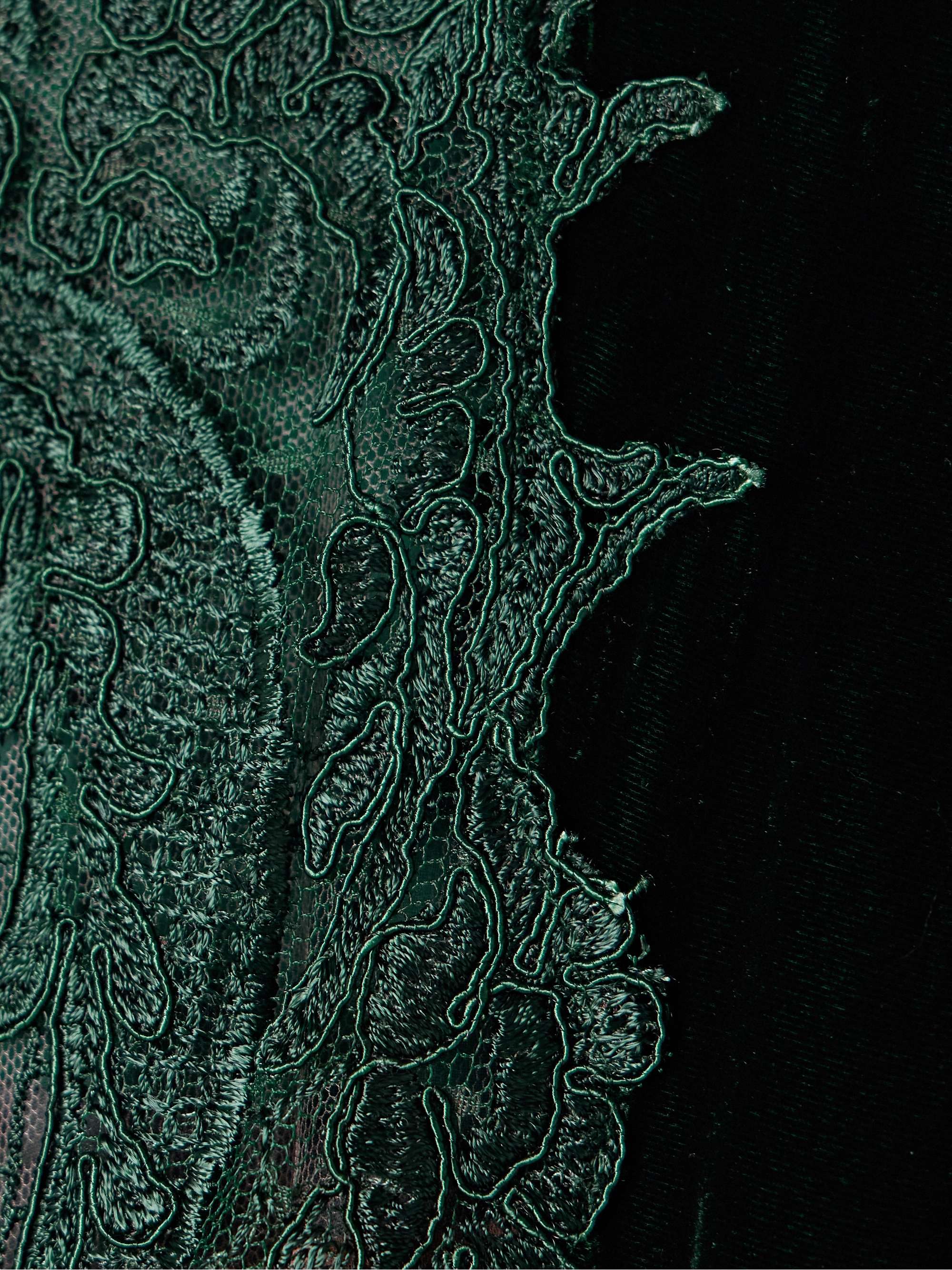 Belted corded lace-trimmed velvet gown view
