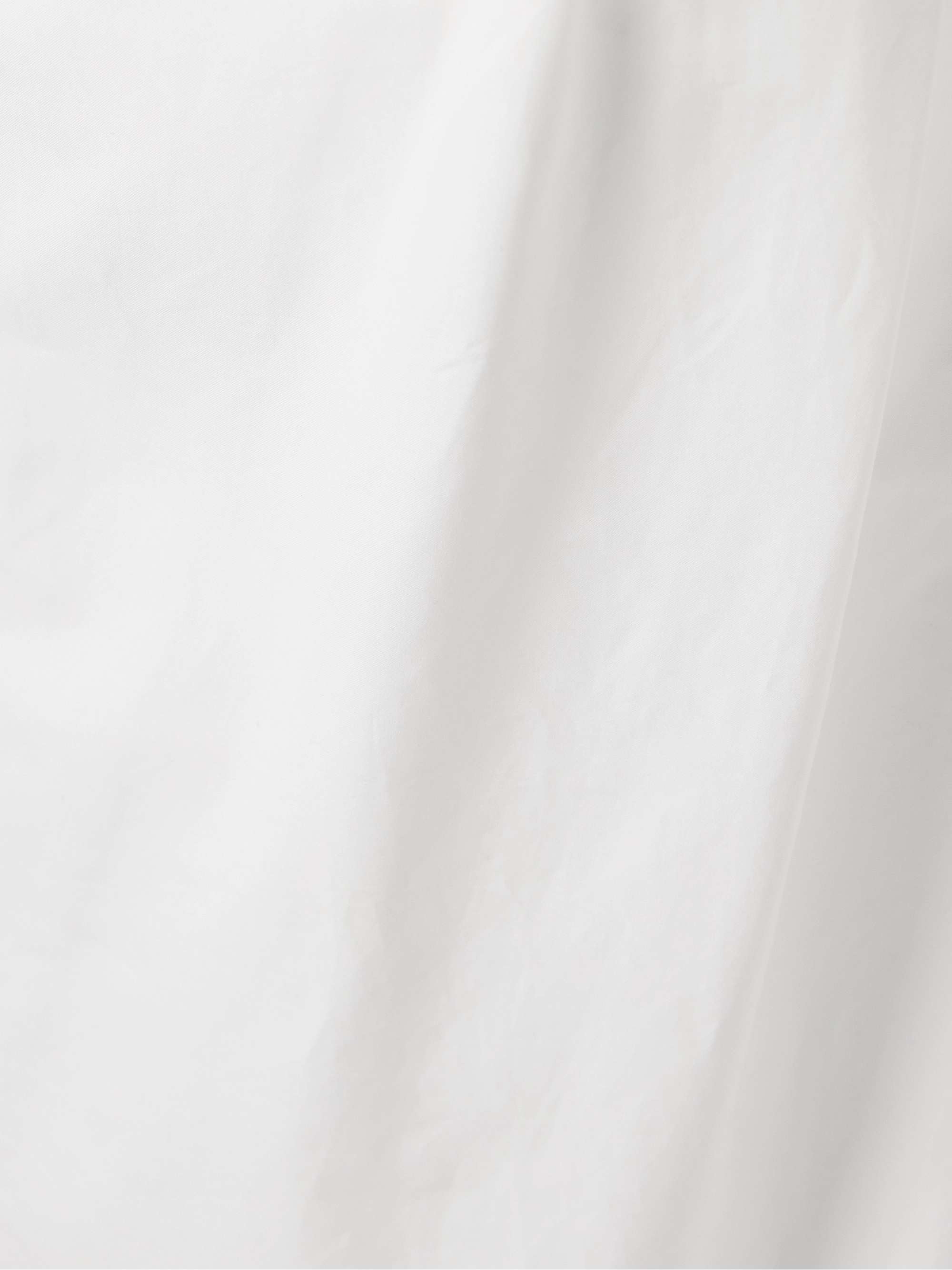 Lucian pleated cotton-poplin maxi skirt view